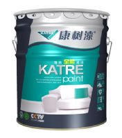 康树尊贵全能底漆